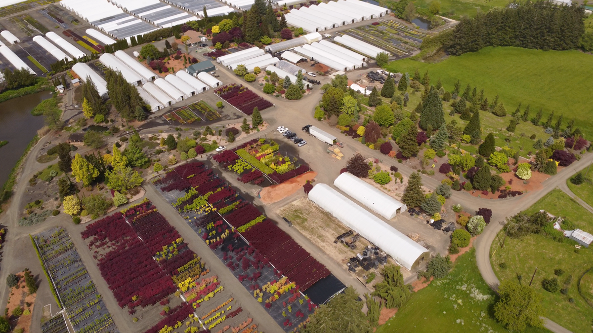 A nursery built to sustain a collection
